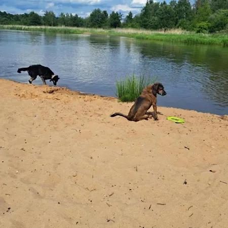 Chillforest * Tomczyn