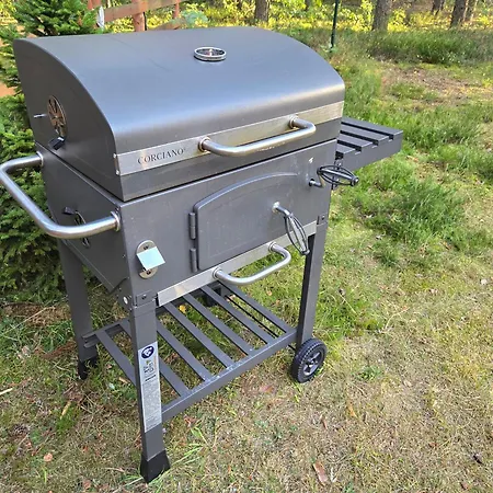 Chillforest * Tomczyn