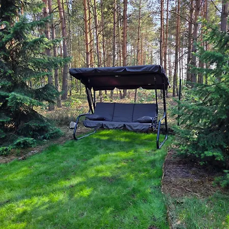 Chillforest * Tomczyn